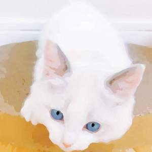 男朋友扒开我小泬添我
